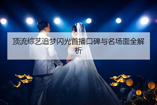 顶流综艺追梦闪光首播口碑与名场面全解析